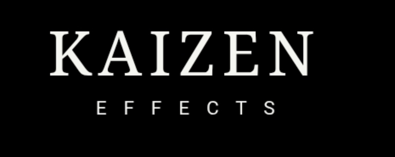 Kaizen Effects